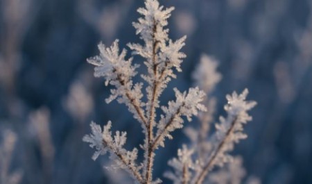 Архангельскую область ждет короткая оттепель перед новым витком морозов