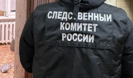 Гость из Петербурга устроил кровавое застолье на юге Архангельской области