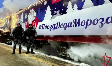 В Котласе вневедомственная охрана Росгвардии обеспечила общественную безопасность поезда Деда Мороза