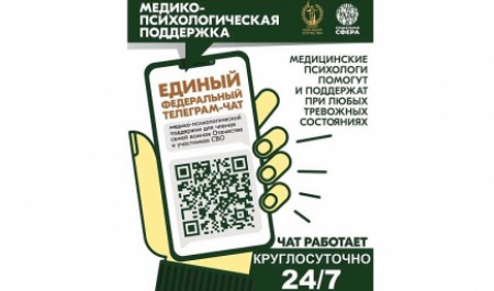 Единый федеральный чат Комитета семей воинов Отечества продолжает работу