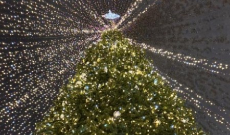 Праздник продолжается: главную елку Архангельска не будут убирать до конца недели Праздник продолжается: главную елку Архангельска не будут убирать до конца недели