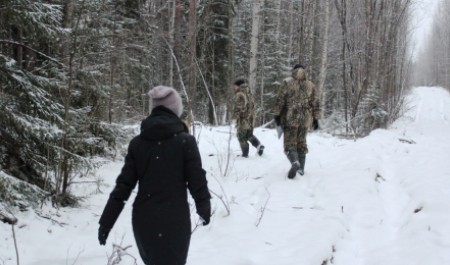 В Поморье подвели итоги предновогодней кампании по предотвращению незаконных рубок в лесах