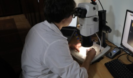 40 студентов из Архангельской области прошли в заключительный этап олимпиады «Я – профессионал»