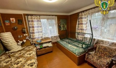 В Архангельской области женщина почем зря избивала дочь сожителя