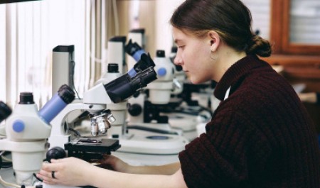 Студенты САФУ вышли в финал Всероссийской олимпиады «Я – профессионал»