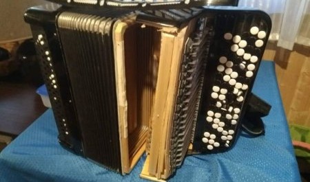 В Архангельске выявлен поддельный иузыкант