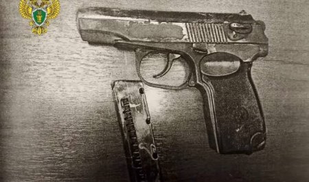 Житель Северодвинска неудачно попробовал себя в торговле оружием