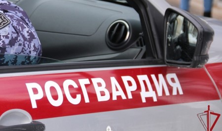 Сотрудники Росгвардии задержали в суде 56-летнего архангелогородца, объявленного в розыск по делу о сбыте наркотиков