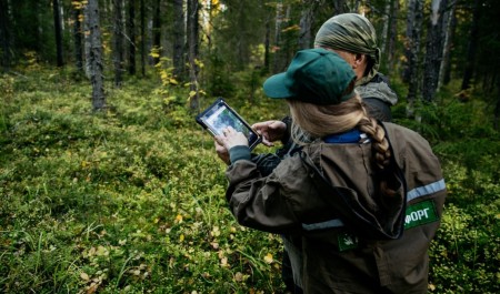 В Поморье актуальность информации по лесоустройству на начало года составляет более 90 процентов 