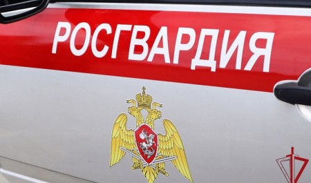 В Росгвардии Поморья рассказали о результатах работы за первую рабочую неделю января