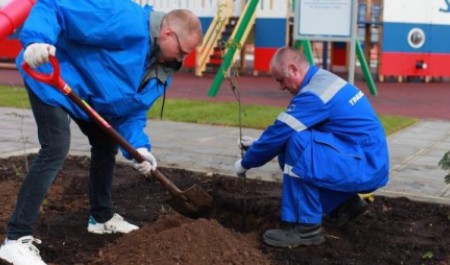 Транснефть–Север подвело итоги работы в области экологии и охраны окружающей среды