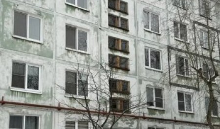 Северодвинец, выкинувший собаку с 5 этажа, приговорен к обязательым работам