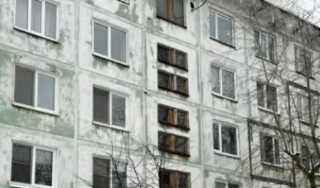 Выбросивший собаку с пятого этажа северодвинец потрудится на благо государства