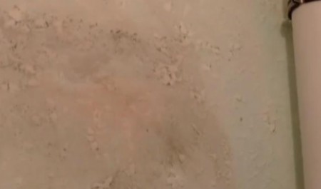 Грибок, плесень и дождь в квартире: новоселы Няндомы борются с течью уже два года