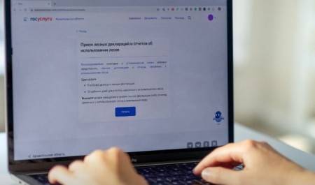 В Поморье продолжается работа по наполнению информационной системы лесного комплекса В Поморье продолжается работа по наполнению информационной системы лесного комплекса