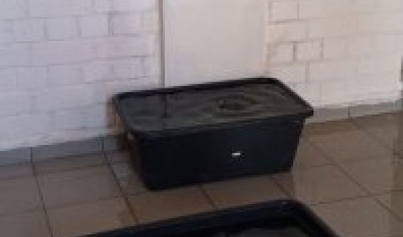 Няндомскую новостройку заливают "вешние воды"