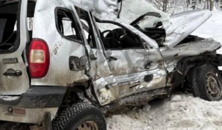 Автоледи насмерть разбилась на «встречке» на юге Архангельской области Автоледи насмерть разбилась на «встречке» на юге Архангельской области