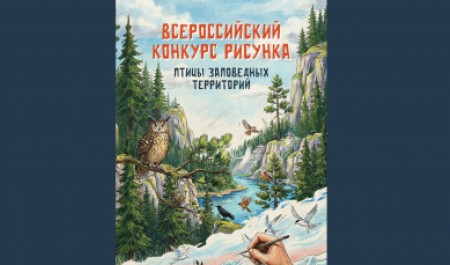 Нацпарк «Русская Арктика» принимает заявки на конкурс рисунков «Птицы заповедных территорий»