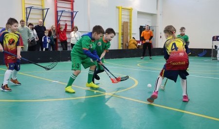 Флорбол жив! В Архангельске прошел турнир памяти депутата Малиновского