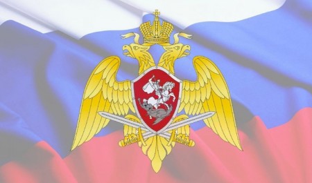 Сотрудник Росгвардии в ходе «прямой линии» ответит на вопросы об обороте гражданского оружия в Архангельской области