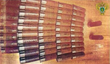 Житель Верхнетоемского округа осуждён за продажу патронов Житель Верхнетоемского округа осуждён за продажу патронов