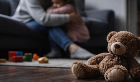 Архангелогородец оказался на скамье подсудимых за домашний террор длиной в годы