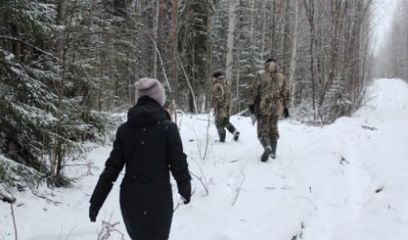 В минлеспроме Поморья подвели итоги надзорной деятельности по охране лесов за 2025 год
