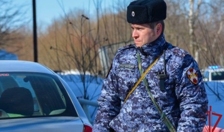В Котласе сотрудники Росгвардии задержали мужчину, угнавшего автомобиль