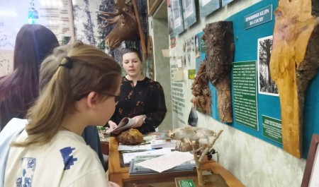 В музее леса имени А.Ф. Заволожина школьников знакомят с правилами пожарной безопасности в лесах