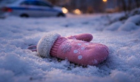 Ушли гулять и не вернулись: в Северодвинске завершились поиски двух детей