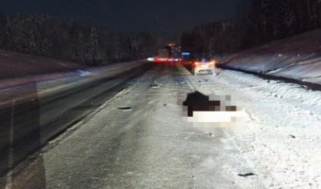 Пассажир выскочил на трассу и погиб под колесами авто в Архангельской области