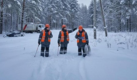 После массового светового блэкаута пинежские власти отчитались об устранении аварии