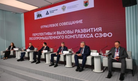 Предложения Архангельской области заявлены в дорожную карту по развитию ЛПК СЗФО