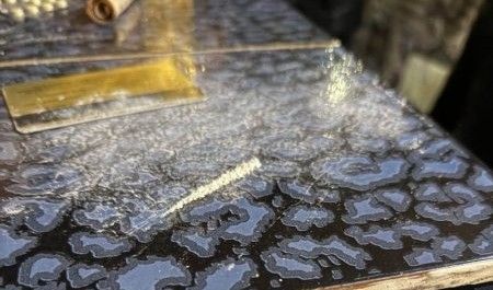 В Няндоме полиция обнаружила домашнюю наркоплантацию и синтетические наркотики В Няндоме полиция обнаружила домашнюю наркоплантацию и синтетические наркотики