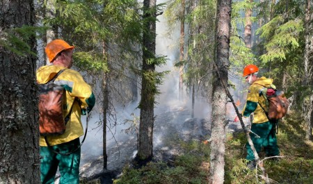 В минлеспроме региона подготовлен сводный план тушения лесных пожаров