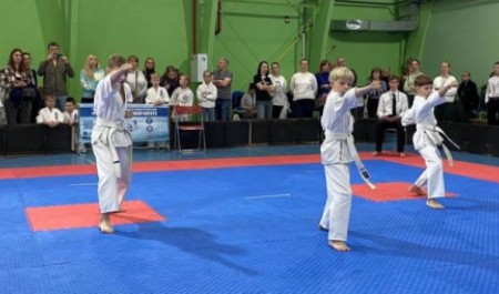 В Архангельске выявили лучших юных каратистов области