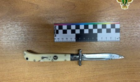 Нож ушел под ребра жителю Коноши