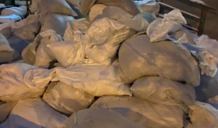 Надежный щит для воинов из Поморья