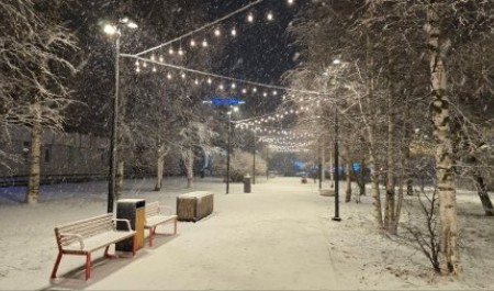 Сквер в центре Архангельска получит громкое имя