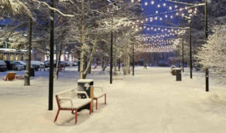 В центре Архангельска может появиться сквер имени художника Александра Борисова