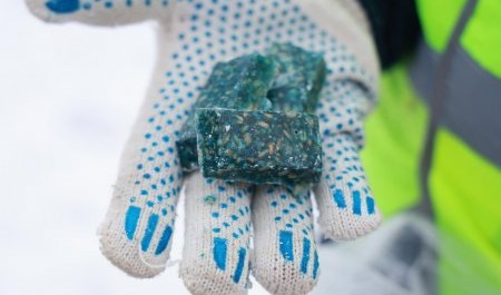 Дератизация шагает по Архангельску