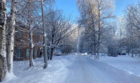 До 30°С: Архангельскую область ждет контрастная неделя с морозами и снегопадами