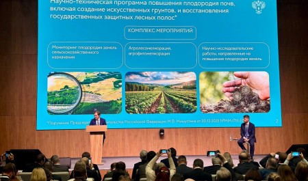 Минсельхоз России подготовил комплексный план по работе с земельными ресурсами страны