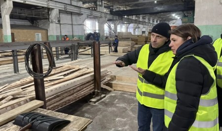 В Плесецке обсудили развитие предприятий округа с привлечением мер господдержки