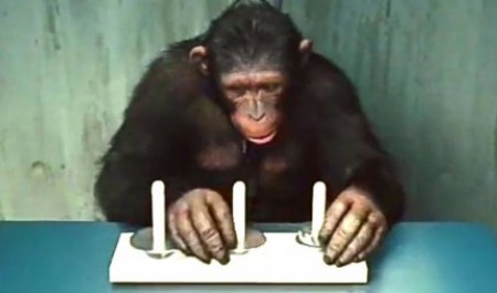 Большинству архангелогородцев нравится идея считать отпуска в рабочих днях