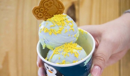 Благодаря преференциальному режиму резидент АЗРФ открыл в Архангельске торговую точку