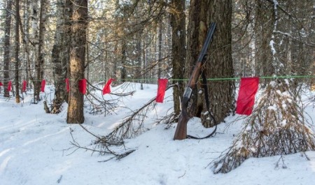 В Архангельской области с начала сезона охоты добыто 110 волков