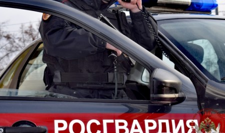 Росгвардейцы Коряжмы помогли участковому задержать неадеквата, избившего мать-пенсионерку