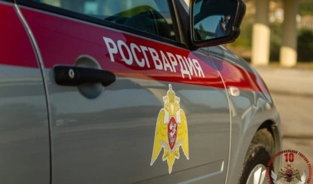 В Северодвинске наряд Росгвардии задержал архангелогородку, объявленную в федеральный розыск
