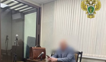 "Поморский лесной технопарк" стал причиной уголовного дела и посадки директора